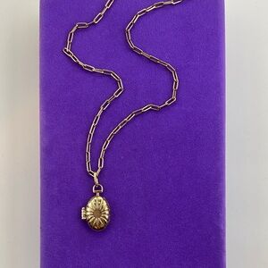 💛 Retired Mejuri 18K Gold Vermeil Croissant Locket Necklace